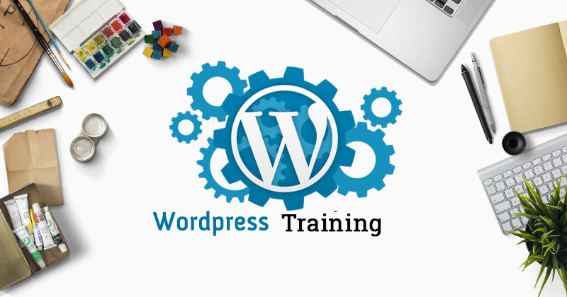 Responsive Web Design & WordPress Development